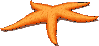 etoiledemer.gif (4212 bytes)